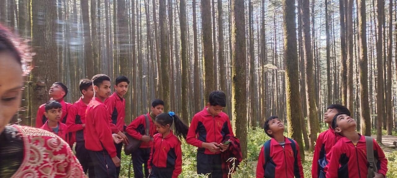 Nature walk