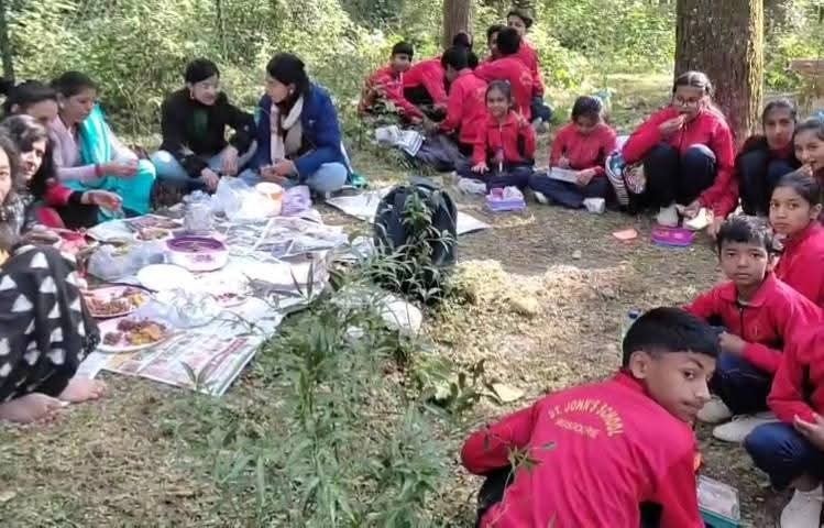 Picnic in the forest